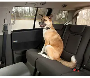 Kurgo Autotürschutz, 2 Stück / Schutzhülle zum Schutz der Tür 