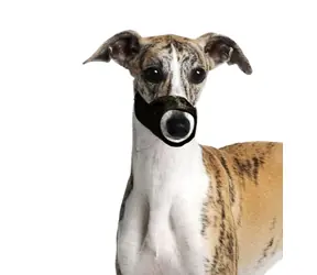 Karlie Hundemaulkorb Nylon XS / Maulumfang 15cm