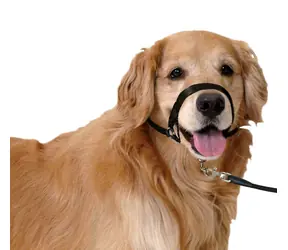 Karlie Halter Single schwarz M