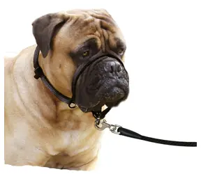 Karlie Halter Single schwarz L