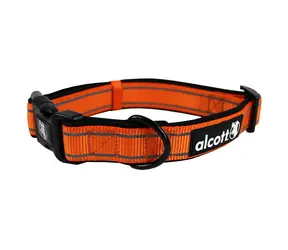 Alcott Reflektierendes Halsband für Hunde orange - Größe L