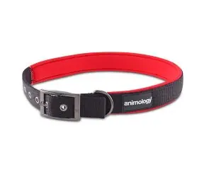 Animology Hundehalsband Nylon rot - Größe XL