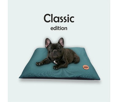 Red Ant Bettkissen für Hunde smaragdgrün - Größe S