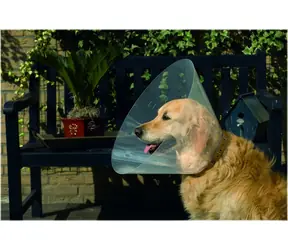 Beeztees Halsband für Hunde 47-57x30cm