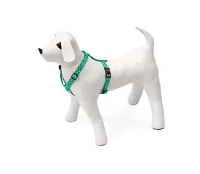 Karlie ASP Mix&Match Geschirr, grünes Hai-Motiv - Größe 35-50 cm, 15 mm