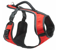 PetSafe EasySport Geschirr rot - Größe S