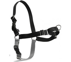 PetSafe EasyWalk Geschirr schwarz - Größe S