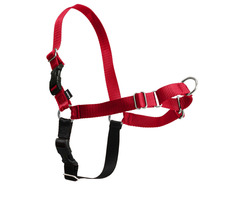 PetSafe EasyWalk Geschirr rot - Größe L