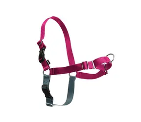 PetSafe EasyWalk Geschirr Himbeere - Größe M