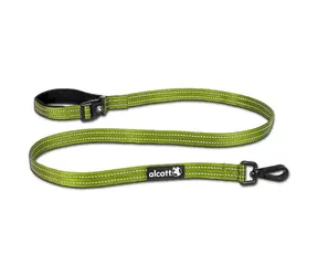 Alcott Weekender Reflektierende Hundeleine grün