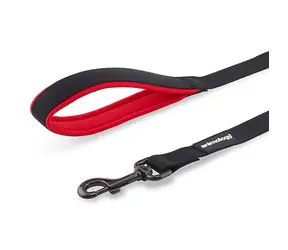 Animology Hundeleine rot - Größe M