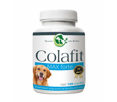 Colafit Max forte 100 Kapseln