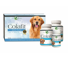 Colafit Geschenkpaket - groß / Colafit Max forte 200 Dose + 50 Dose