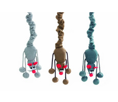 Beeztees Bungee-Spielzeug für Katzen 52 cm
