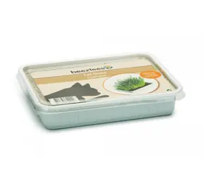 Beeztees Gras für Katzen in einer Plastikschüssel 130g