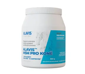 ALAVIS MSM für Pferde 600g / gegen Entzündungen und Schmerzen und zur Stärkung von Bändern und Sehnen