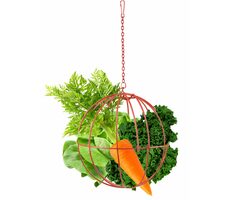 Flamingo Futterstation für Nagetiere in Metallic-Rot