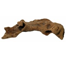 Lucky Reptile Opuwa Holz 20-40 cm