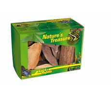 Der Schatz der Lucky Reptile -Natur