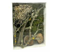 Lucky Reptile Deko-Set Dschungel