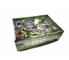 Lucky Reptile Deko-Set Mantis