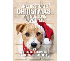 Flamingo Adventskalender mit Leckerlis für Hunde 295g