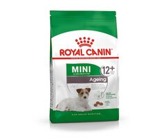 Royal Canin Mini Aging 12+ 3,5 kg / Granulat für Hunde / bis 10 kg / über 12 Jahre