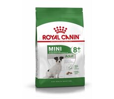 Royal Canin Mini Adult 8+ 800 g / Granulat für Hunde / bis 10 kg / über 8 Jahre
