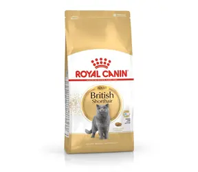 Royal Canin Britisch Kurzhaar Adult 4 kg / Granulat für Katzen 