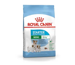 Royal Canin Mini Starter Mother & Babydog - Geflügel & Reis 4 kg / Granulat für Hündinnen und Welpen / bis zu 10 kg 