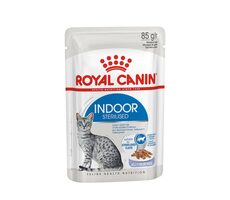 Royal Canin FHN Indoor Sterilisierte Häppchen in Gelee für Erwachsene, 12 x 85 g / Beutel für Katzen
