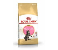 Royal Canin Maine Coon Kitten 4 kg / Granulat für Katzen 