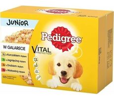 Pedigree Junior Selection Mix - Nasses Hundefutter 12x100 g / Beutel für Hunde