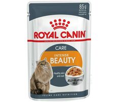 Royal Canin Digest Sensitive Care 12x 85g / Beutel für Katzen / empfindliche Verdauung