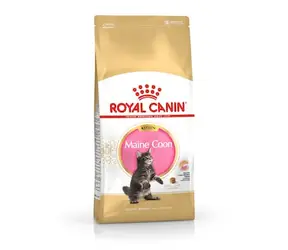Royal Canin Maine Coon Kitten Katzen 2 kg / Granulat für Kätzchen