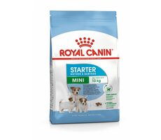 Royal Canin Mini Starter 1 kg / Granulat für Hunde