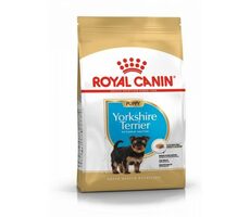 Royal Canin Yorkshire Puppy 500 g / Granulat für Hunde