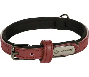 Flamingo Binti Lederhalsband mit Neopren rot XS