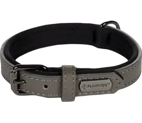 Flamingo Binti Lederhalsband mit Neopren grau XS/S