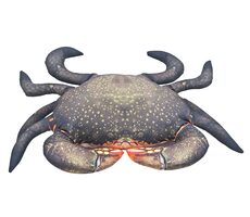 Gaby Mud Krabbenkissen 60cm