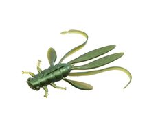 Delphin Gummiköder Nymfa MANYA UVs 10,5cm Frösche 5St