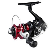 Shimano Sienna FG 1000 Rolle