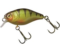 Illex Wobbler Chubby 3,8cm Barsch