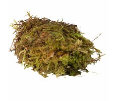HabiStat Sphagnum-Moos 1kg / Natürliches Moos 