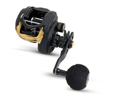 Black Cat Multiplikator Cast 301 LH