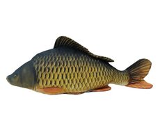 Gaby Kissen Karpfenmonster 160cm