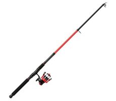 Mitchell Rute mit Rolle Catch Pro Tele Spin Combo 2, 4M 10-50g FD 3000