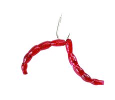 Berkley Gummiköder Powerbait Power Maxi Blood Worms