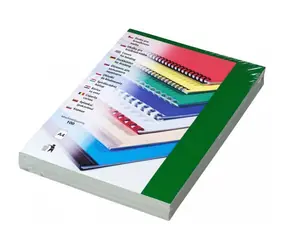 EuroSupplies CHROMO Papptafeln A4 grün 100 Stk