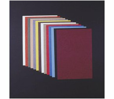 Teller Delta A4 schwarz / 100 Stk